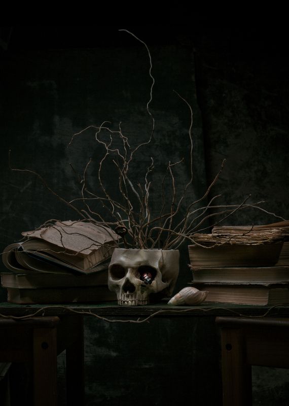 Ветви, Жук, Ключи, Книги, Луна, Натюрморт, Раковина, Череп Skull фото превью