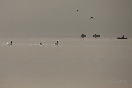 Три, Три, Три