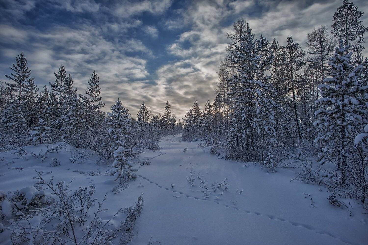 зима, якутия, нерюнгри, Евгения Левина