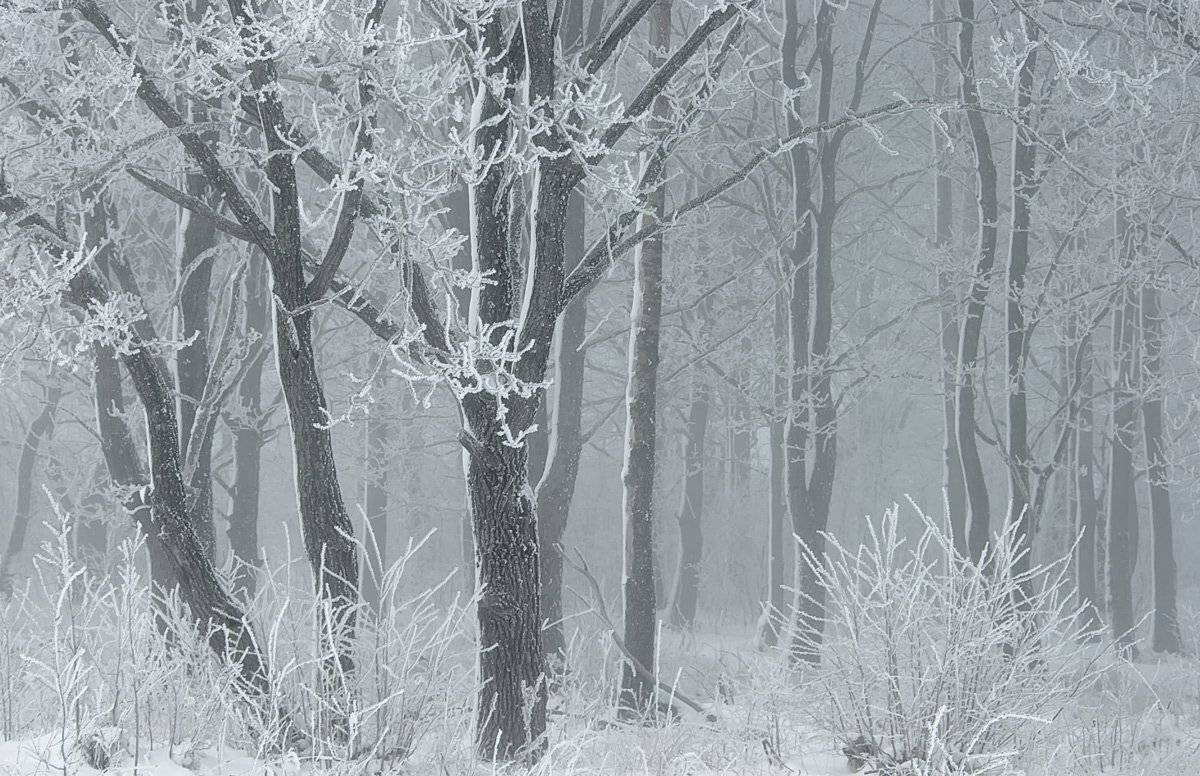 ***, Валерий Кондратов