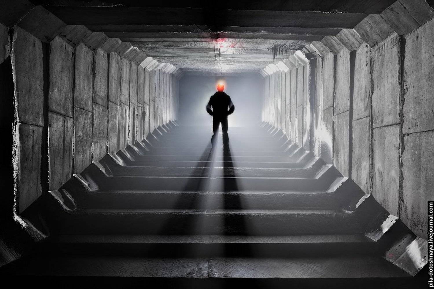 , Анна Аринова