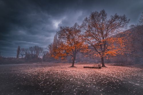 Autumn Meeting