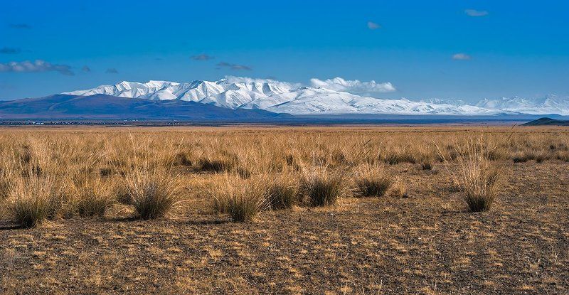 чуйская степь, солончаки, трава, горный алтай, кош-агач Pro другой Алтай… фото превью