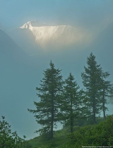 Грань Белухи