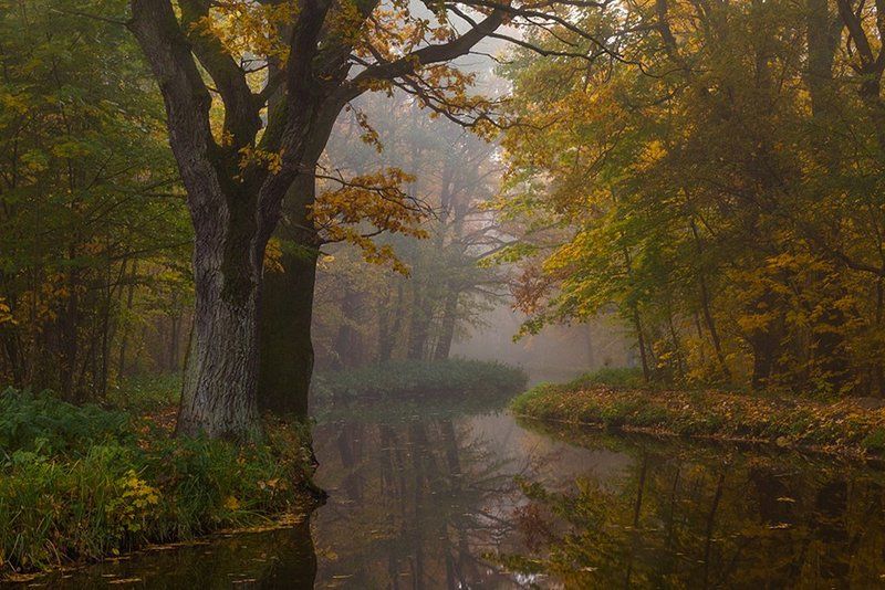 ОСЕНЬ НА КАНАЛЕ фото превью
