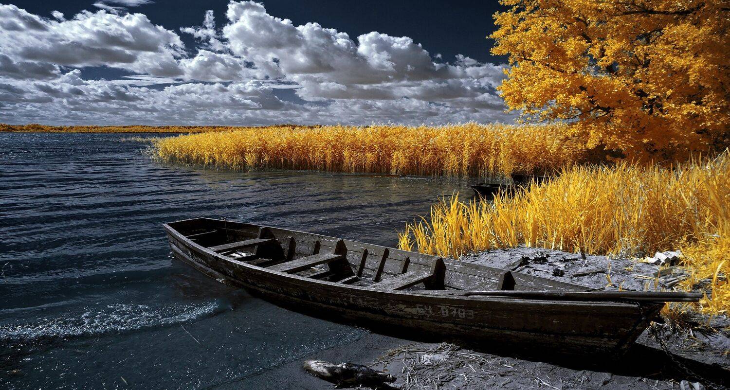 infrared,ик-фото,инфракрасное фото,инфракрасная фотография,пейзаж,природа,беларусь,лето, Sixten ( Сергей )