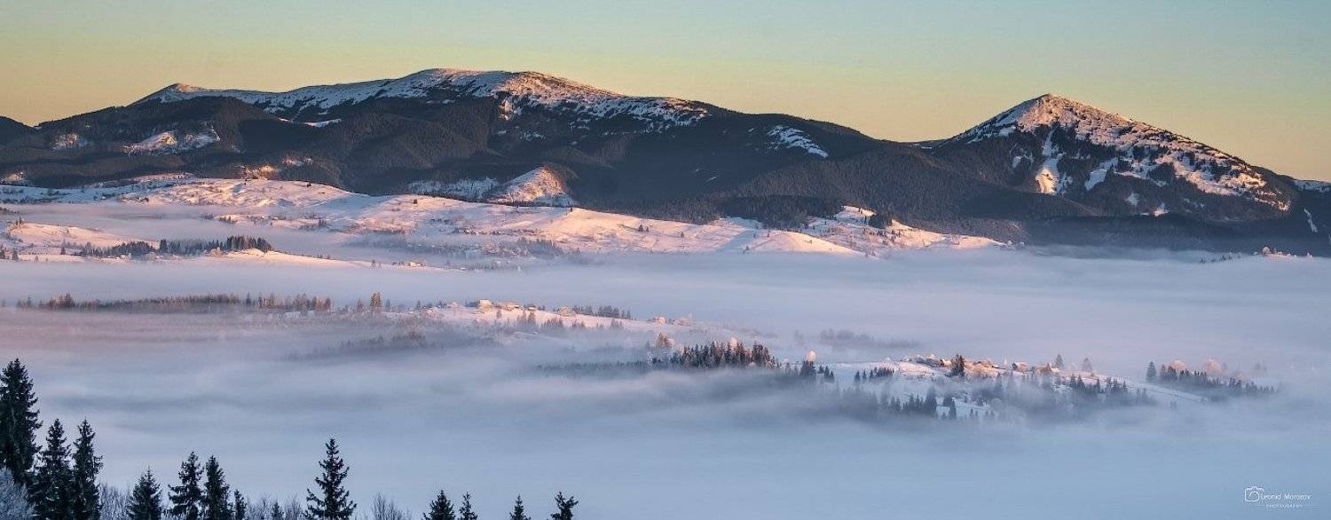 , Леонид Морозов