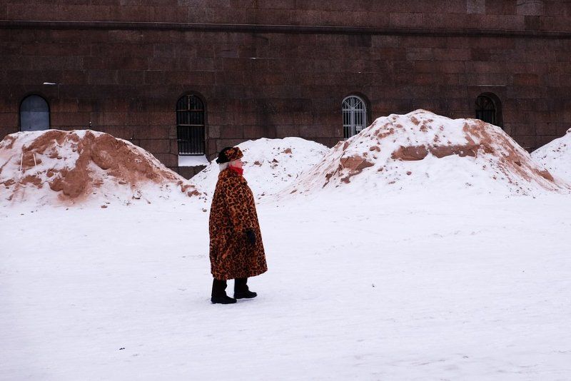 --- фото превью