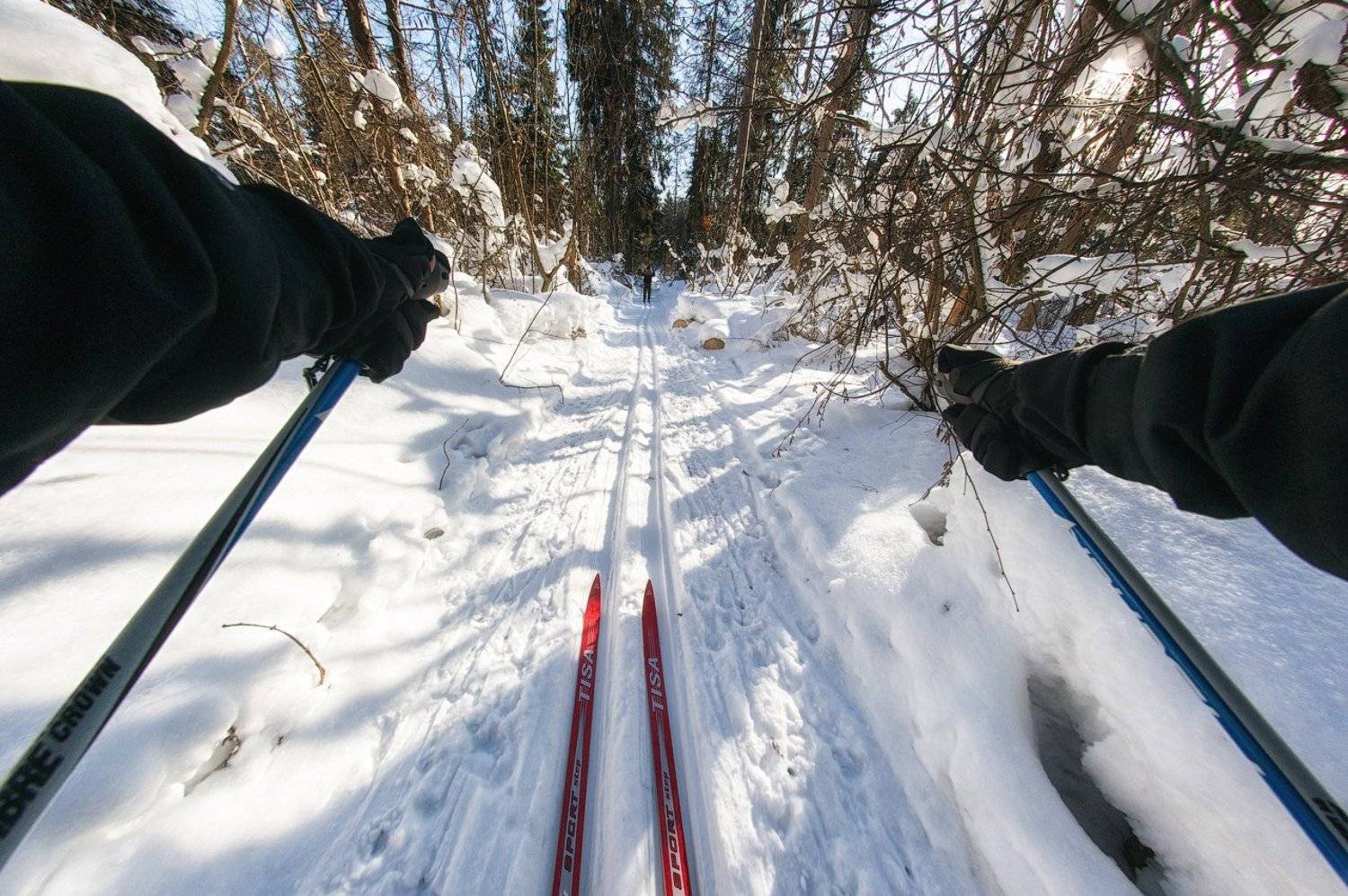 , Королев Саша