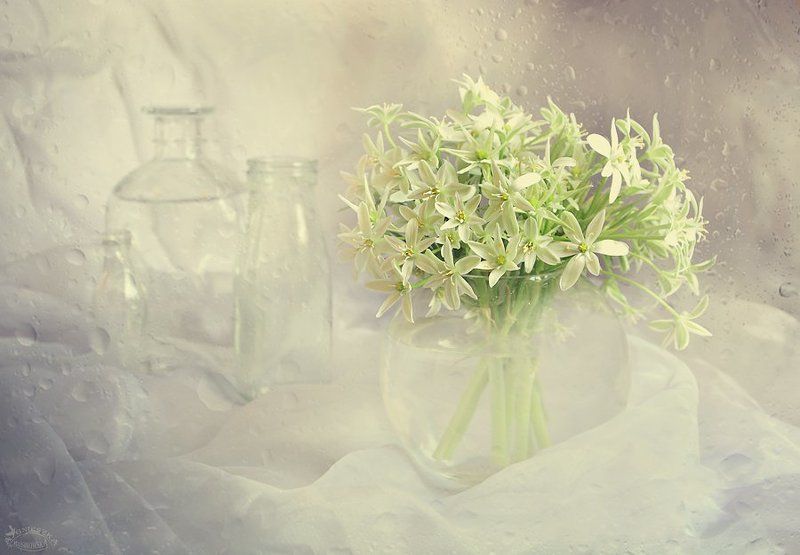 Wiosenne bukiety фото превью