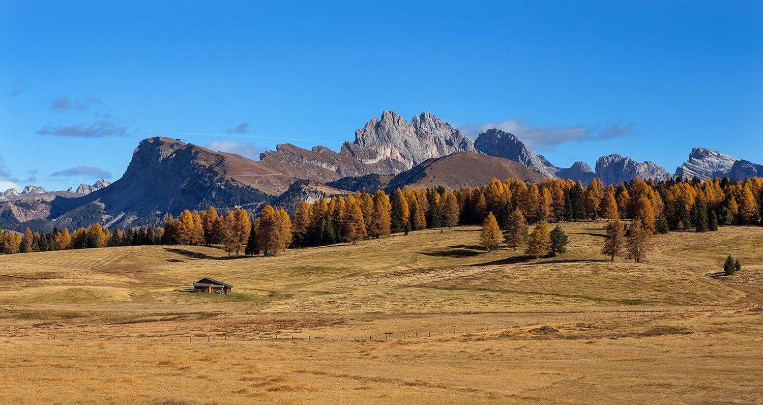 , Игорь Дубровский