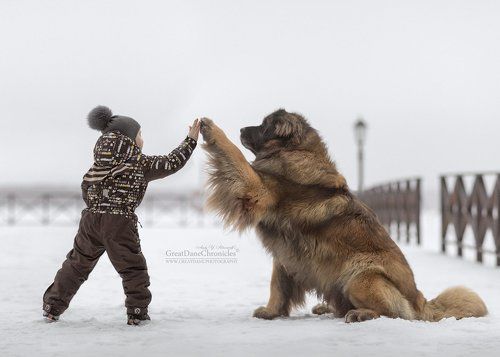 Проша, Дай Пять!