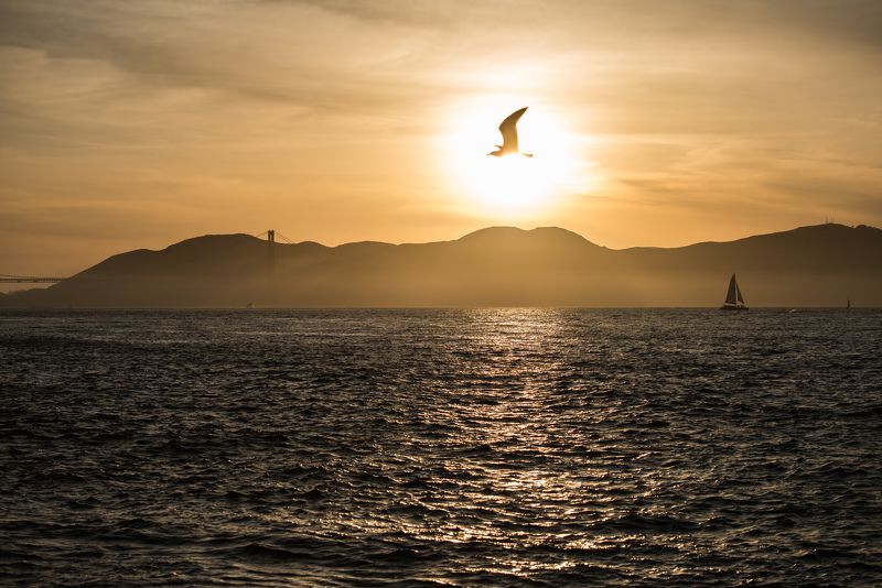 Разное фото превью