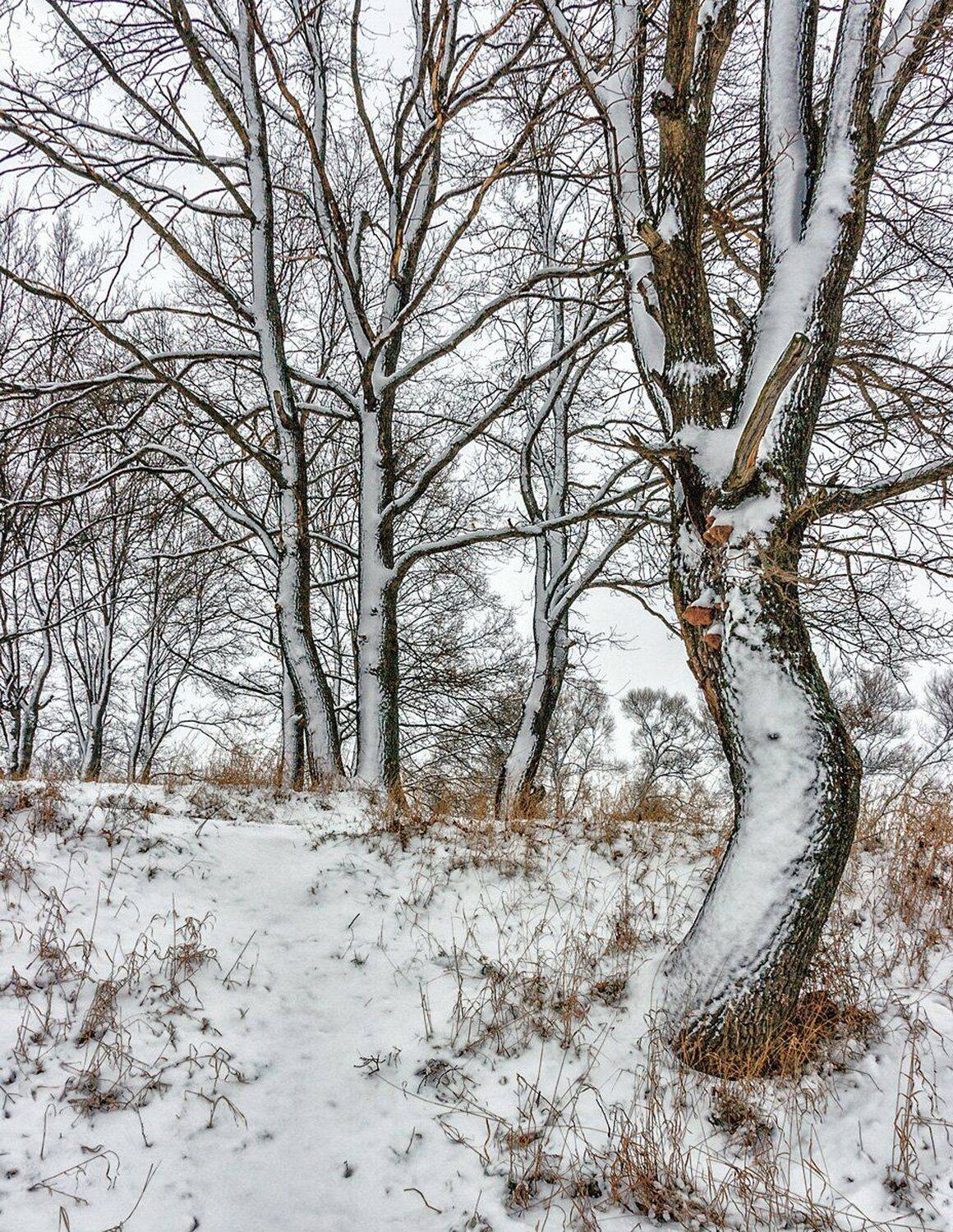 , Николай Андреев