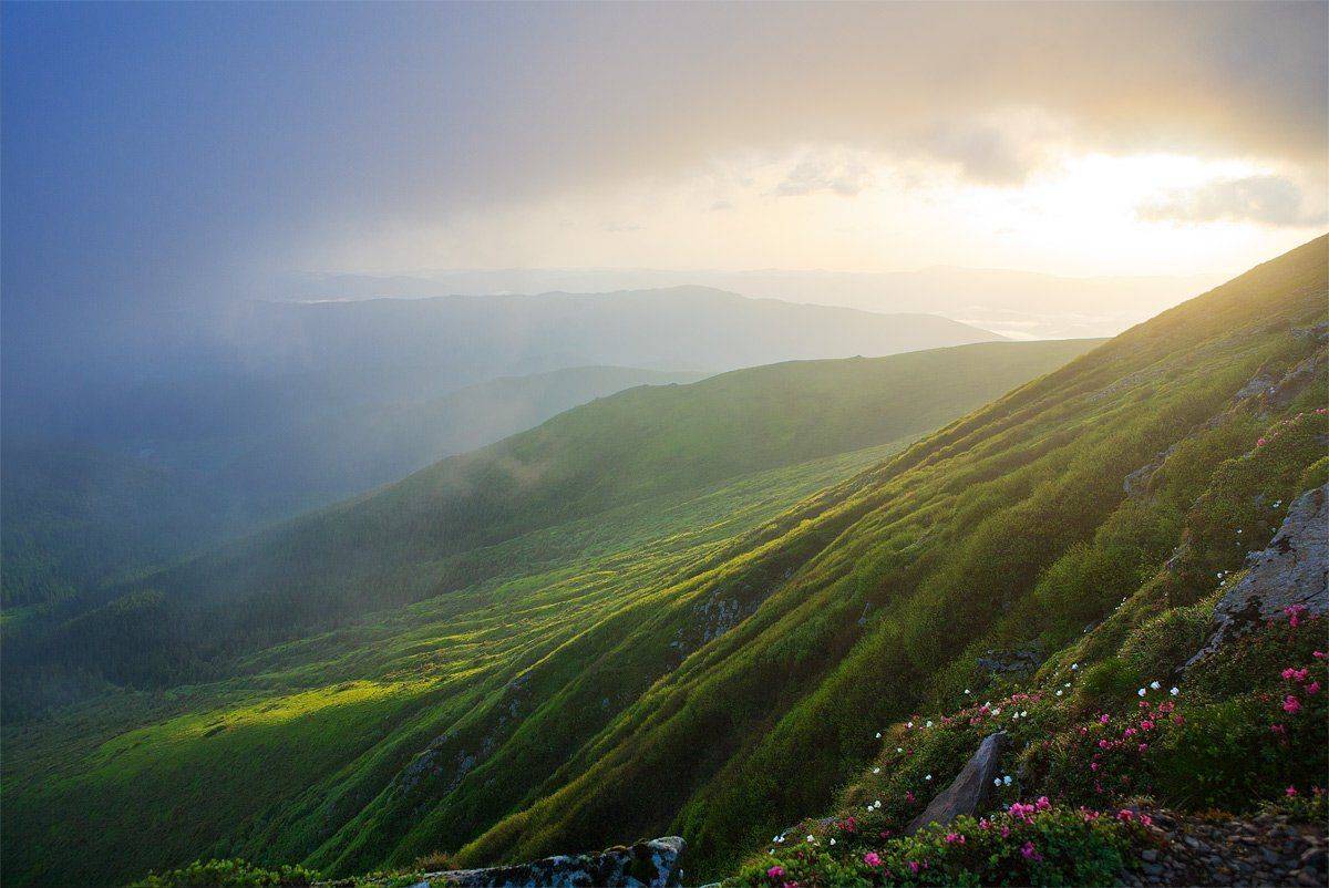 , Виталий Ра