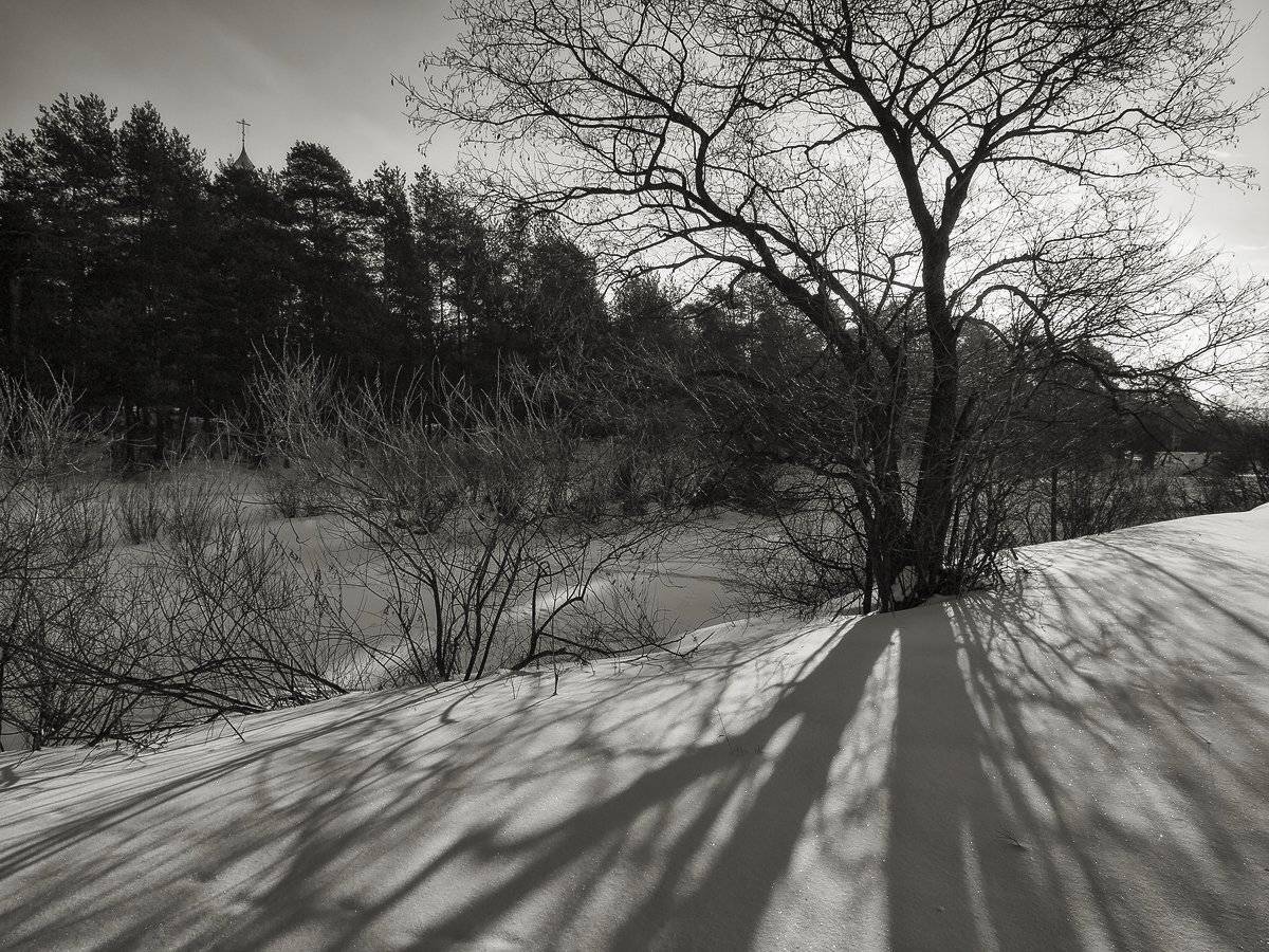 , Владимир Перепечаев