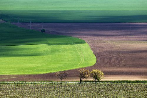 Полевые отношения