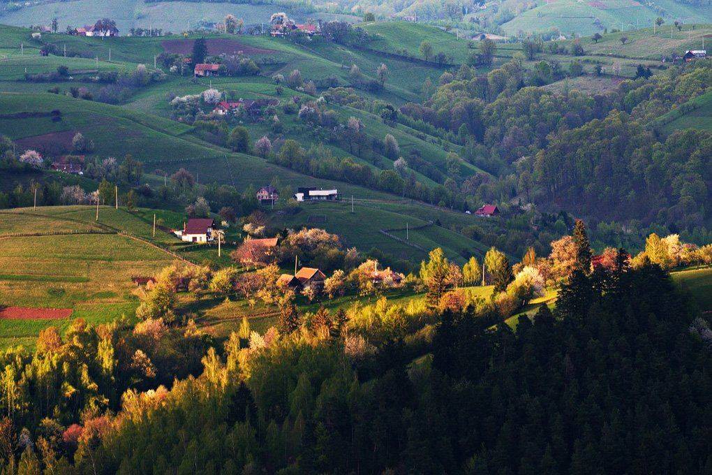 , Stefan Chirobocea