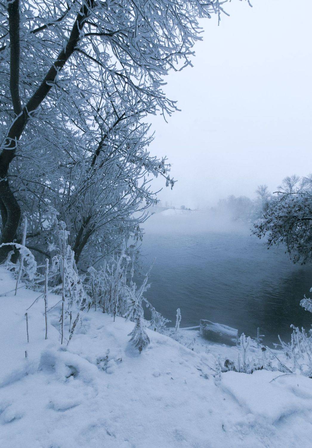 зима, снег, туман, утро, горячка, пейзаж, красота, winter, snow, mist, morning, landscape, beauty, Виктор Бертяев