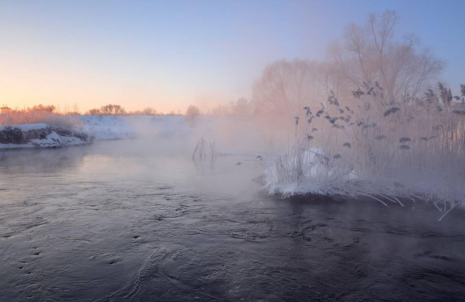 , Анатолий Зверев