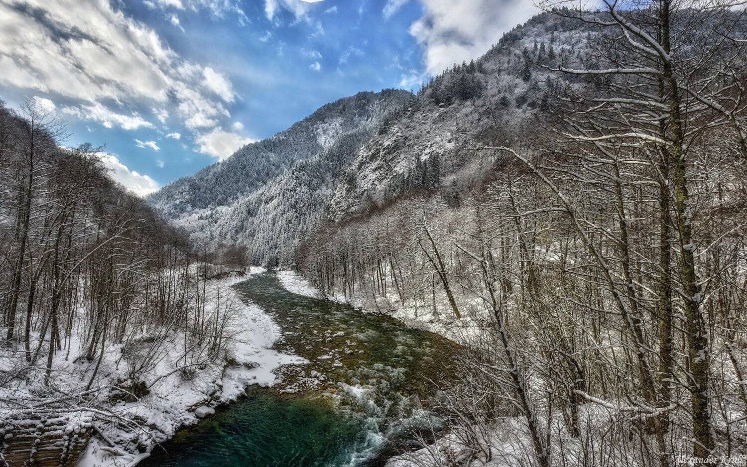 , Александр Круль