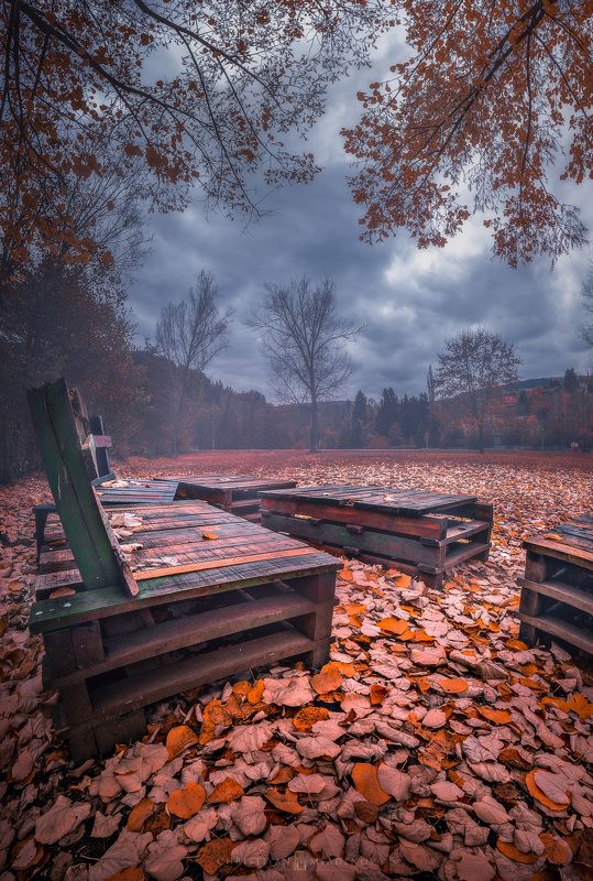 autumn, fall, landscape, trees, forest, woods, bulgaria, colors, nature, fog, mist, rain, october, sky, clouds ColorFall Day фото превью