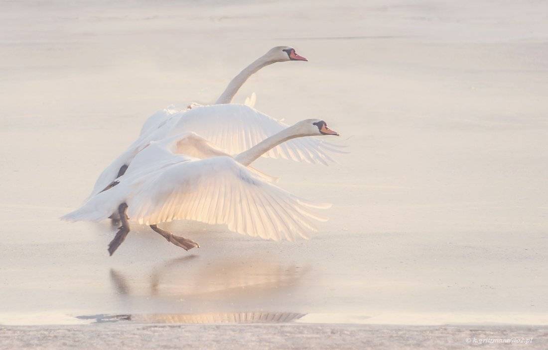 , Katarzyna Gritzmann