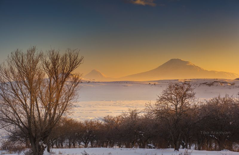 Ararat фото превью