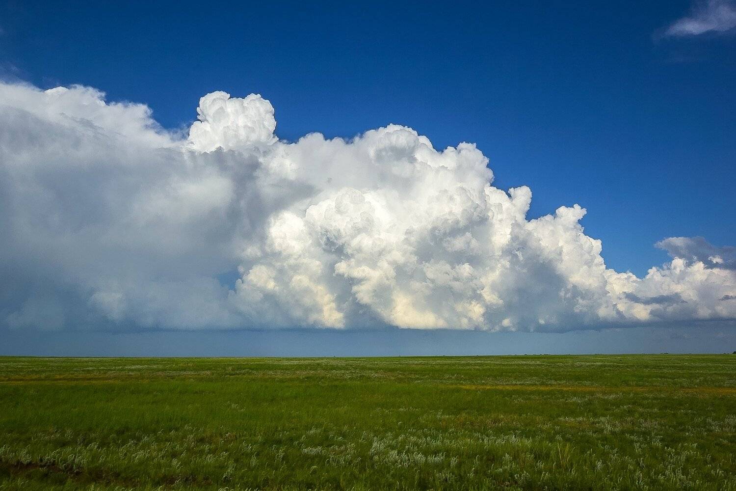 , Павел Сагайдак