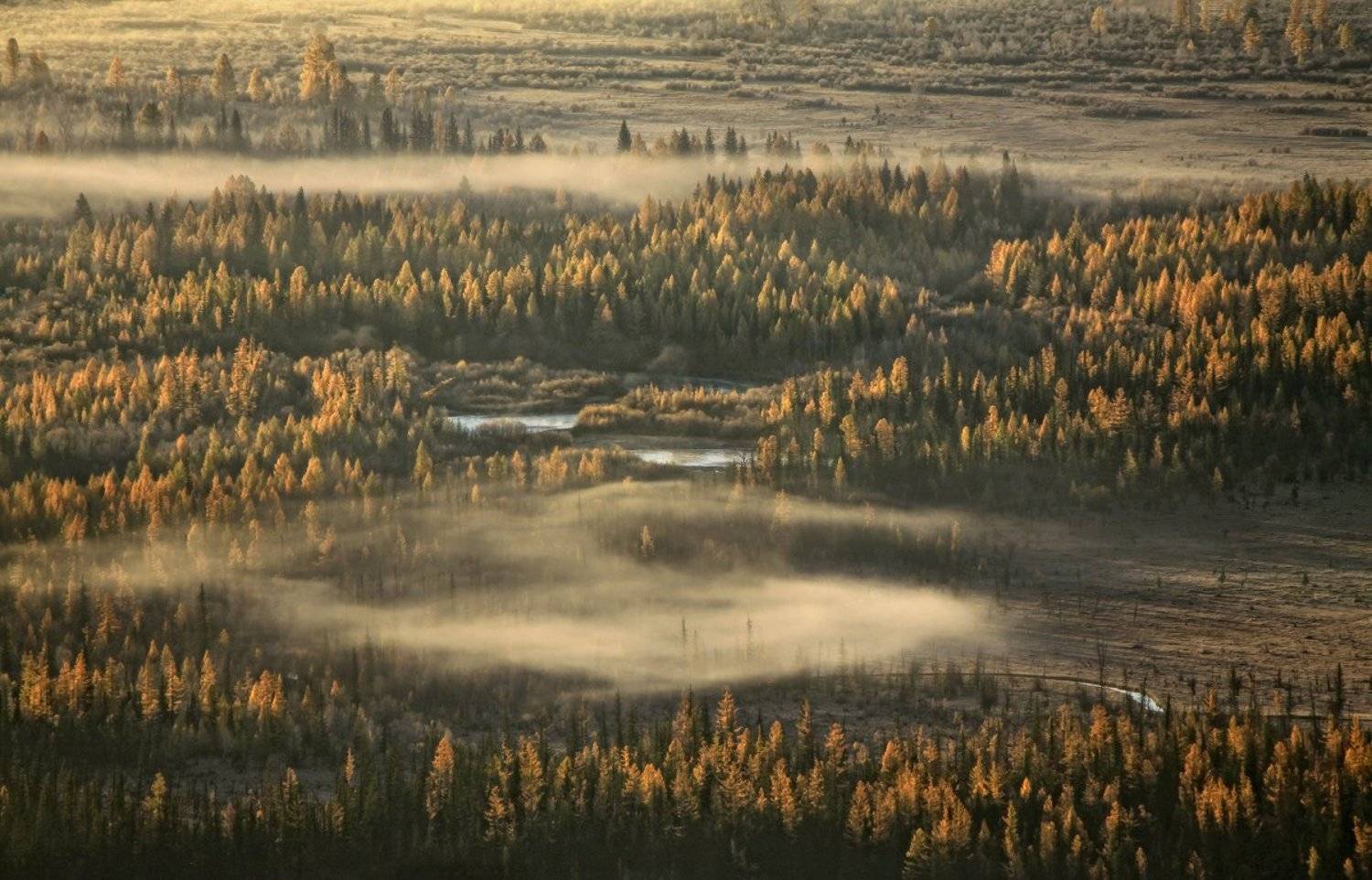 алтай, горный алтай, курайская степь, долина чуи, утро, туман, осень, Галина Хвостенко