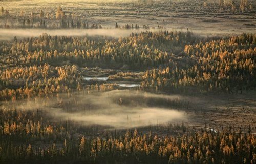 Плывут туманы над рекой