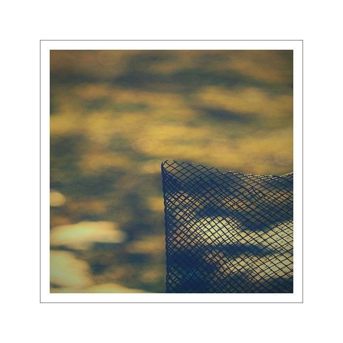 Netting. Автор: František Uhler , František Uhler