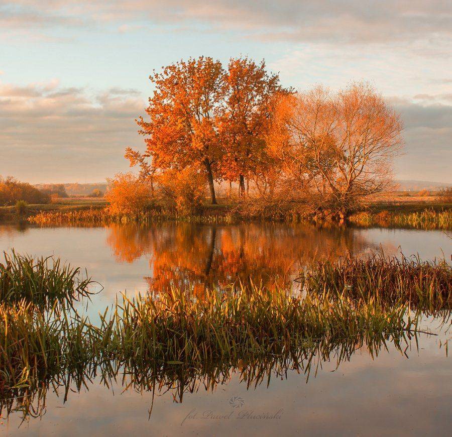 , Pawel Plucinski