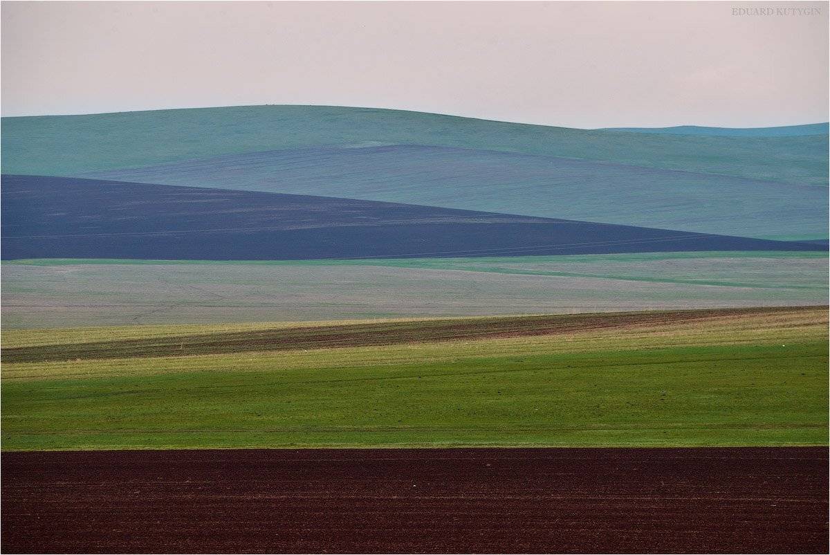 Кутыгин, Монголия, зелень, всходы, поля, цвет, вариативность, весна, май, Кутыгин Эдуард