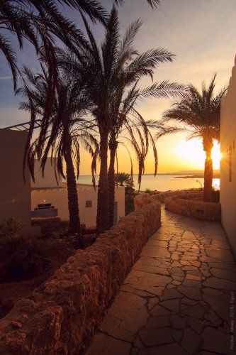 Всем Тепла!