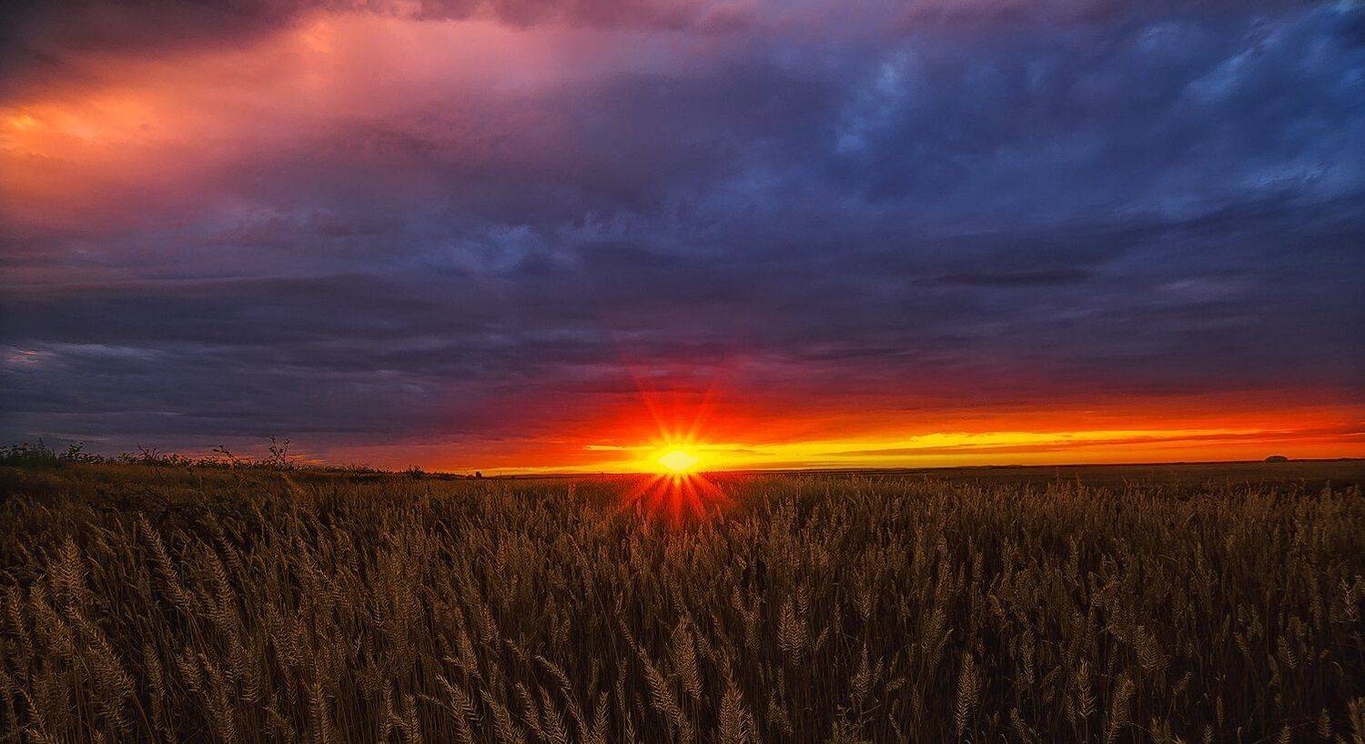 , Павел Сагайдак