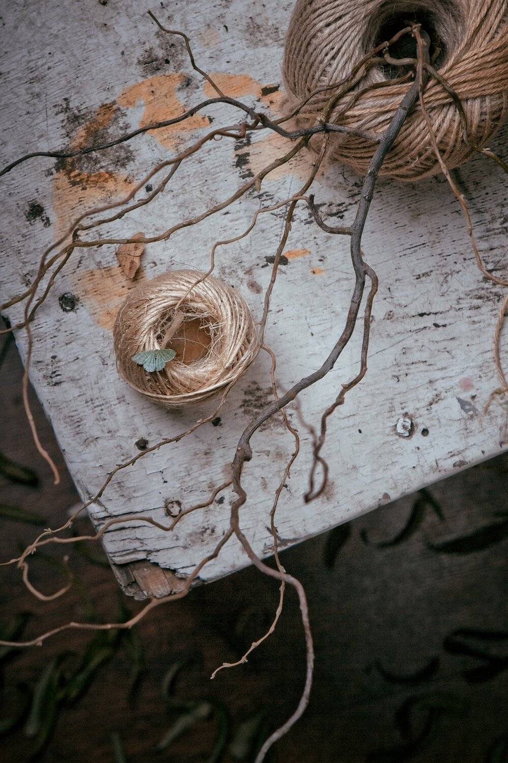 Бабочка, мотылек, суровая нить, ветви, ива, натюрморт, Наталья Голубева