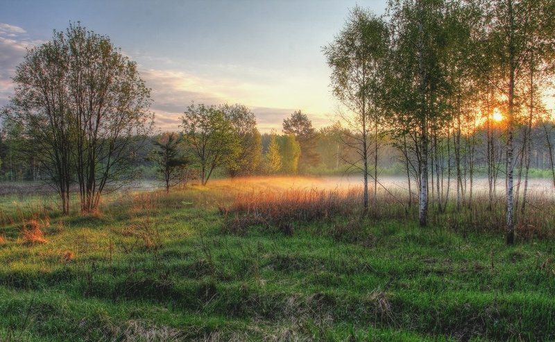 Майское утро фото превью