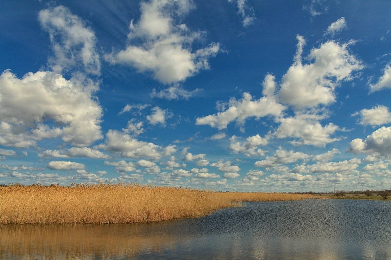 , Александр Войтенко