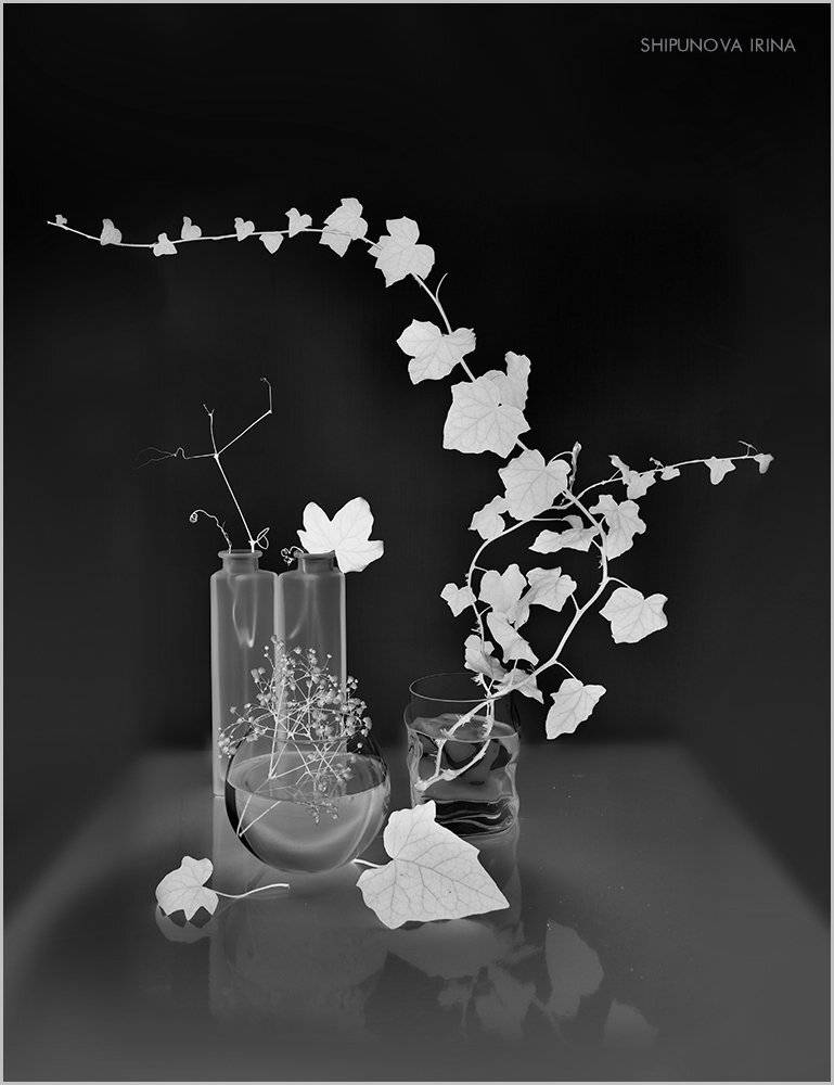 стекло плющ гипсофила art , Шипунова Ирина