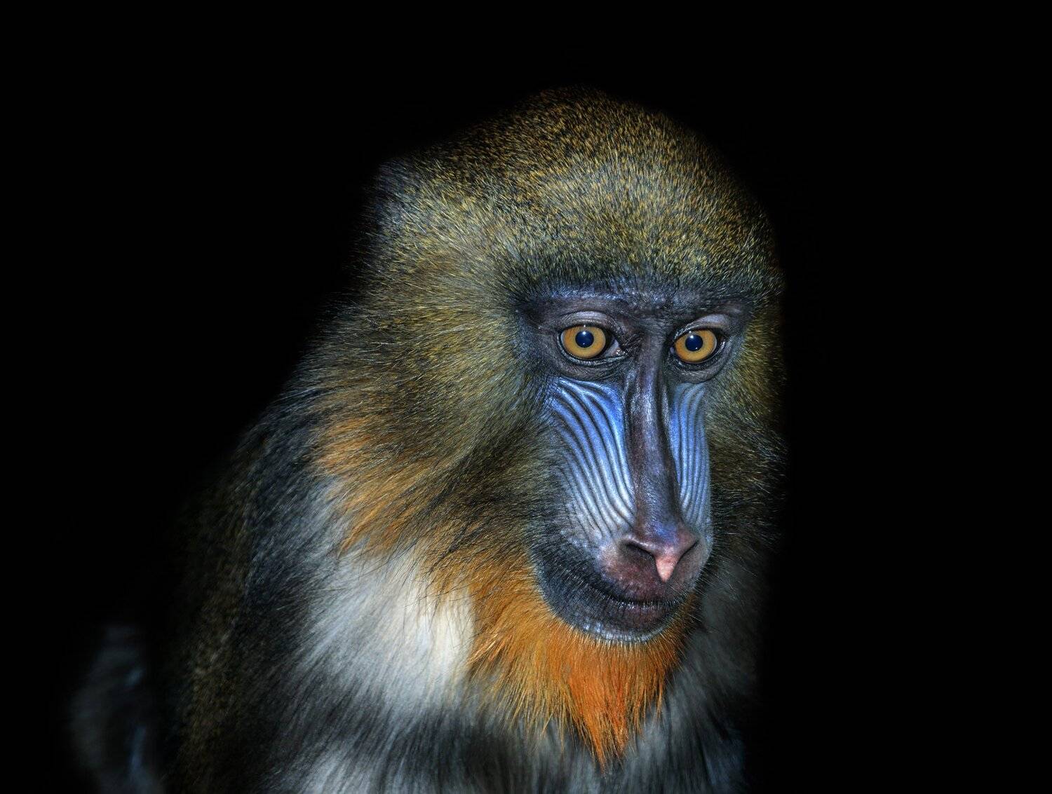 , Олег Богданов