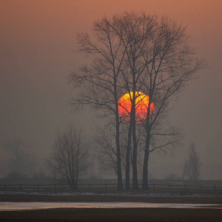 , Pawel Plucinski