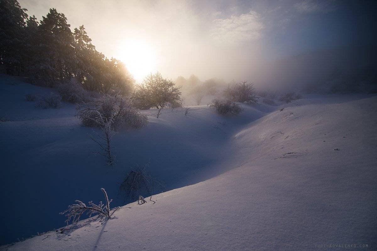 крым, Юрий Коваленко
