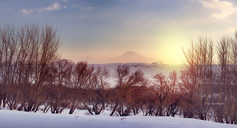 Ararat фото превью