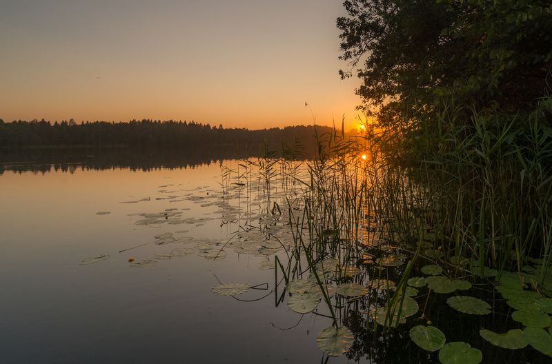 закат беларусь озеро солнце золото отражение лес вода зеркало На закате дня фото превью