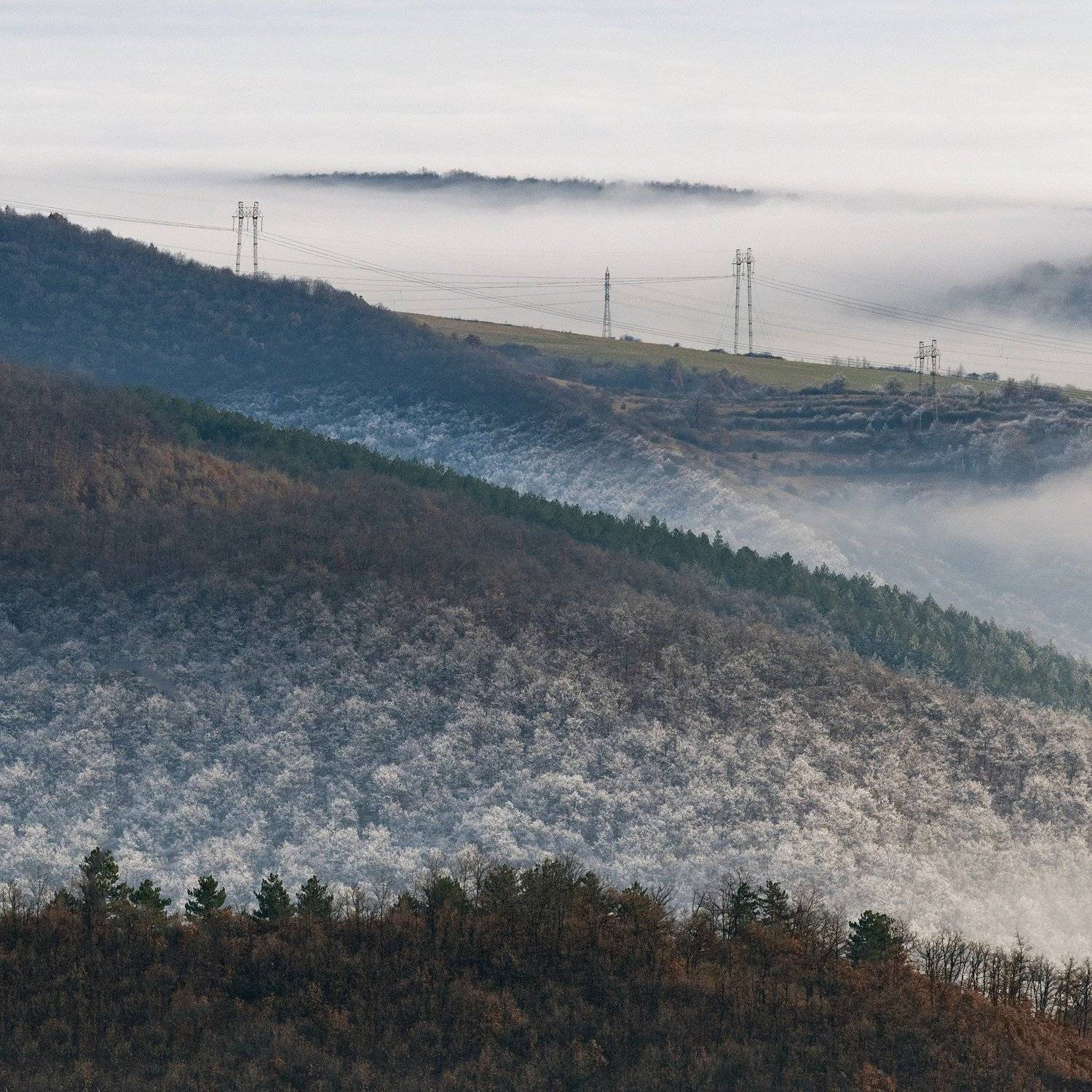 пейзаж, гора, лес, snow, nature, landscape, mountain, forest, trees, , Иван Димитров