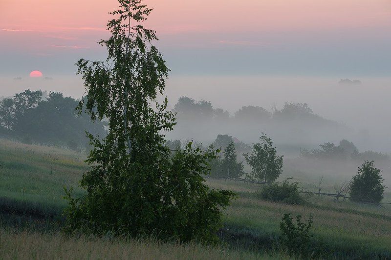 Туманное утро на околице. фото превью