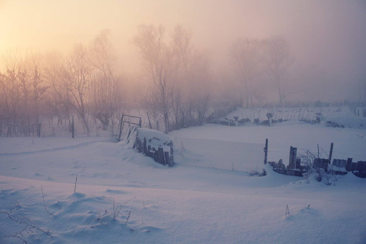 sony a6000, Tihomir Petkov