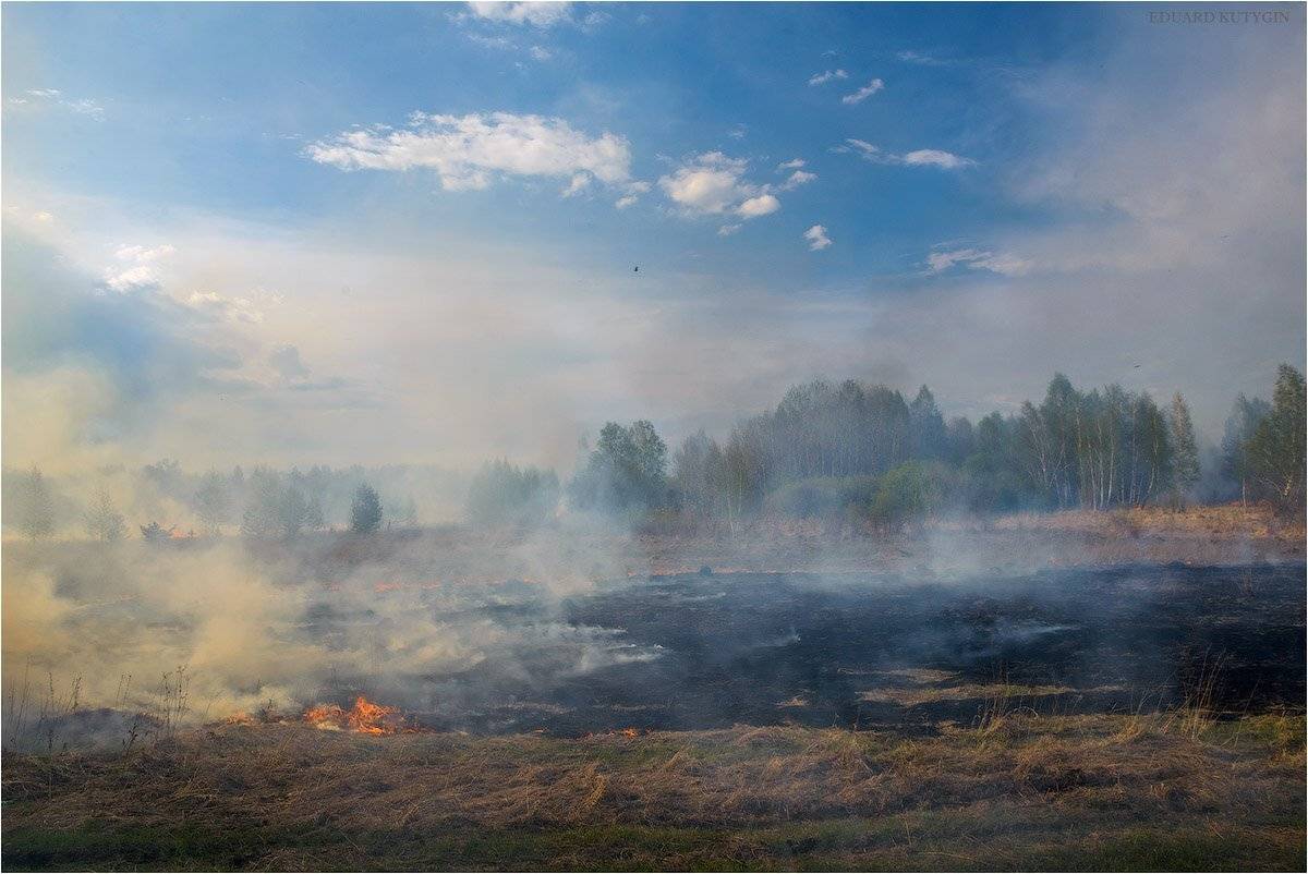 Кутыгин, пожар, горящие, поля, поле, трактор, опашка, дым, пламя, Кутыгин Эдуард