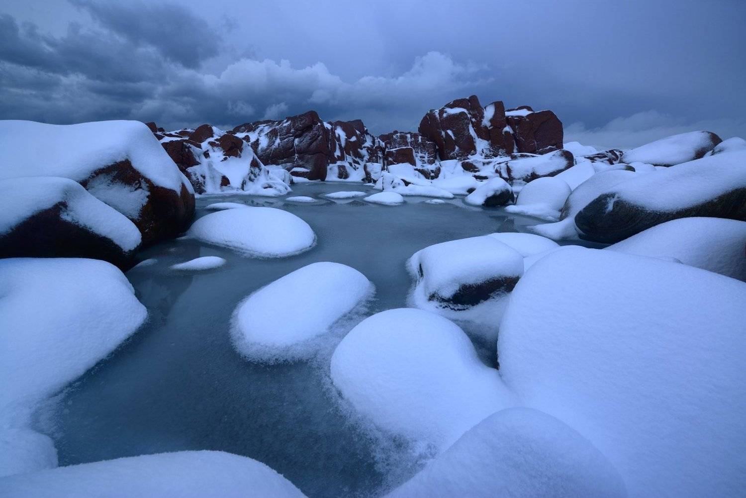 , Максим Евдокимов ( www.wildphotorus.ru )